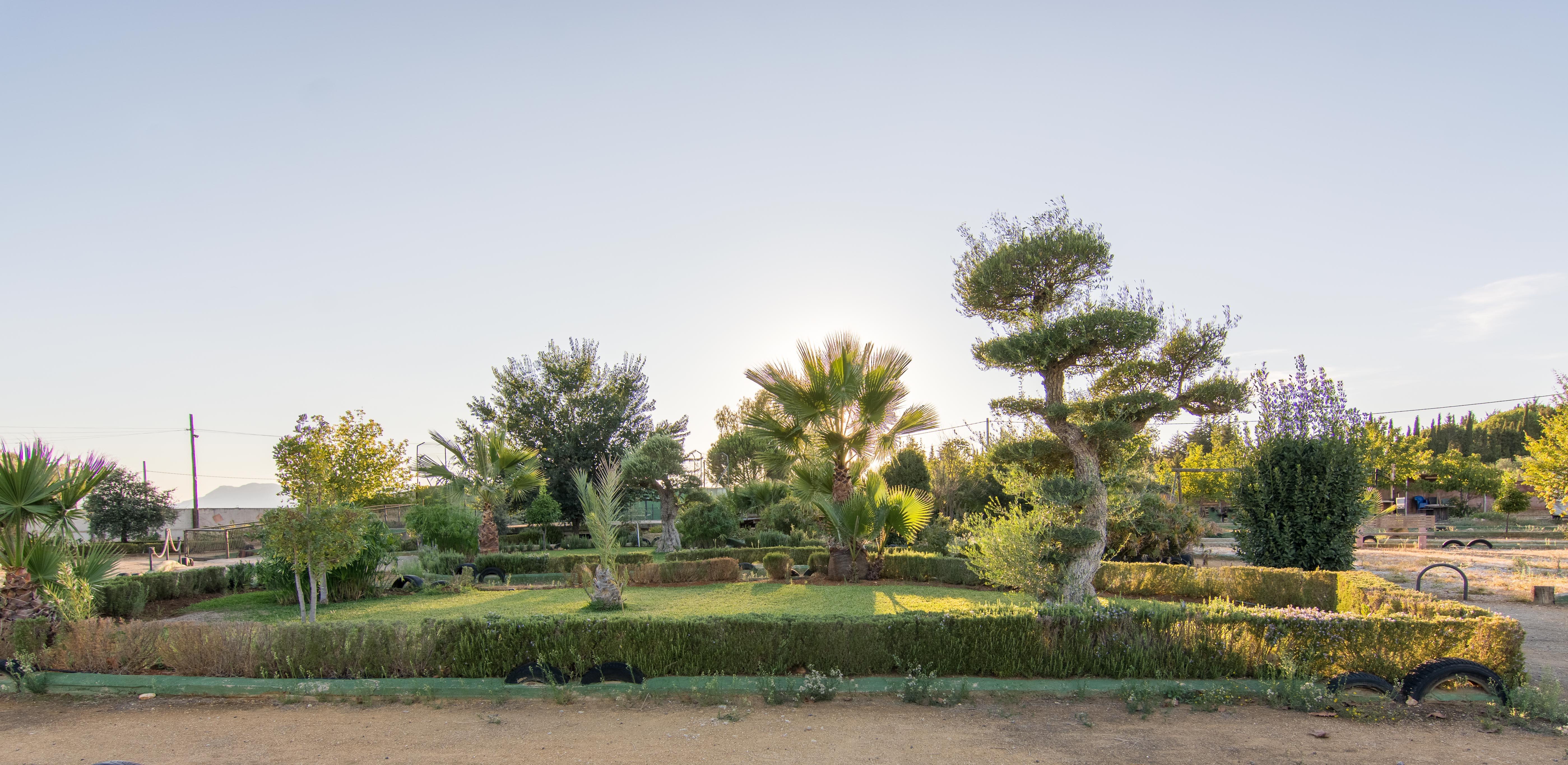 Hotel Rural El Cortijo Ronda Kültér fotó